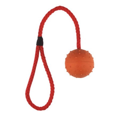 Rubber studded ball on rope